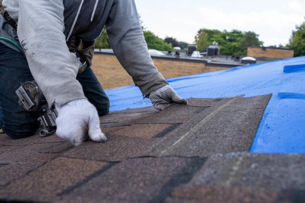 Best Roofing Contractors for Homes  in Benld, IL