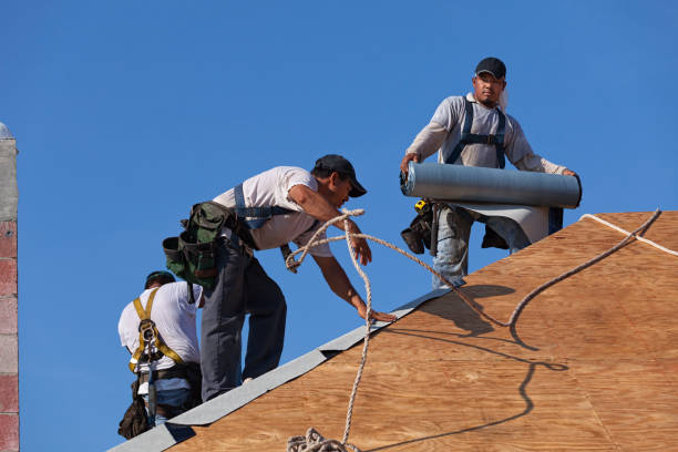 Best Emergency Roof Repair  in Benld, IL